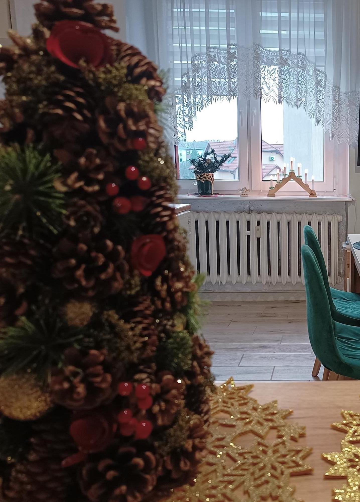 Szmaragdowy Apartament Przy Ulicy Opolskiej Tarnowskie Gory Exterior photo